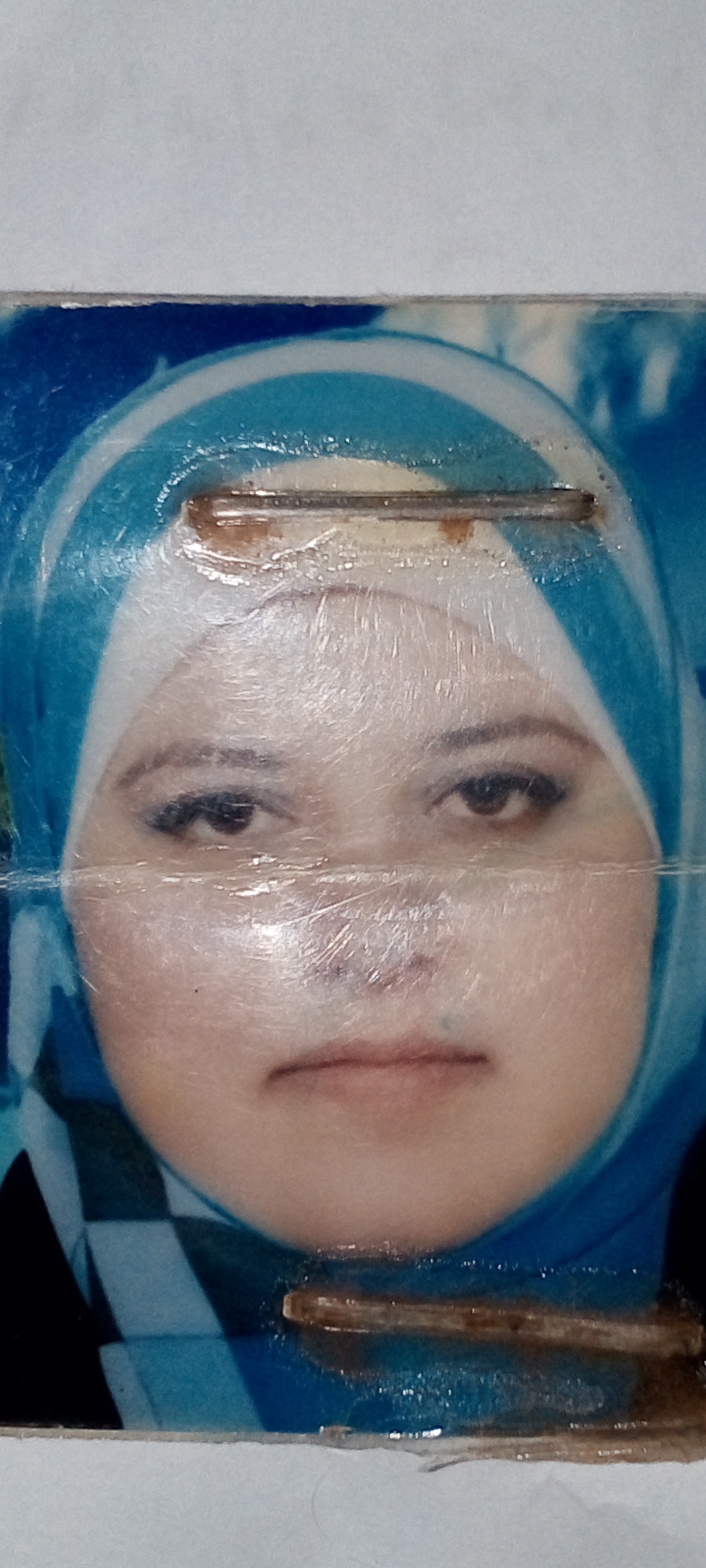 صورة منار رضوان علولو