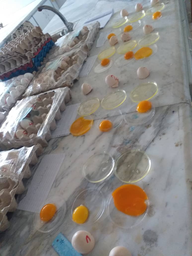 مخبر الكيمياء 