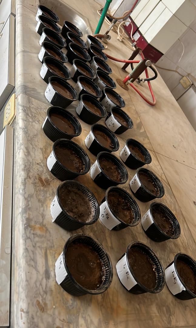 مخبر التربة واستصلاح الأراضي 