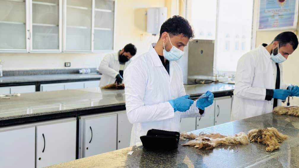 مخبر التشريح